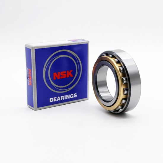 Japan Cylindrical Roller Bearing N407 N407m N409 N409m NSK Bearings for