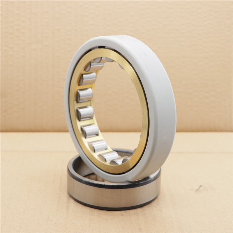 Electric Motors KOYO Electrically Insulated Bearing Ecm/C3vl0241 from China manufacturer